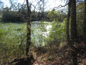 CHATTAHOOCHEE